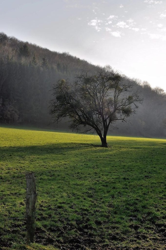 Durbuy, ville de la vallée de l’Ourthe